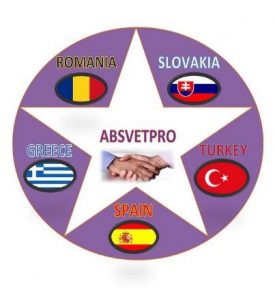 Projekt ES - ABSVETPRO